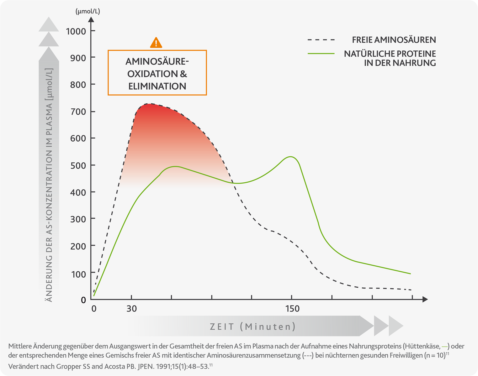 Absorptionskinetik zwischen natürlichem Protein und freien Aminosäuren